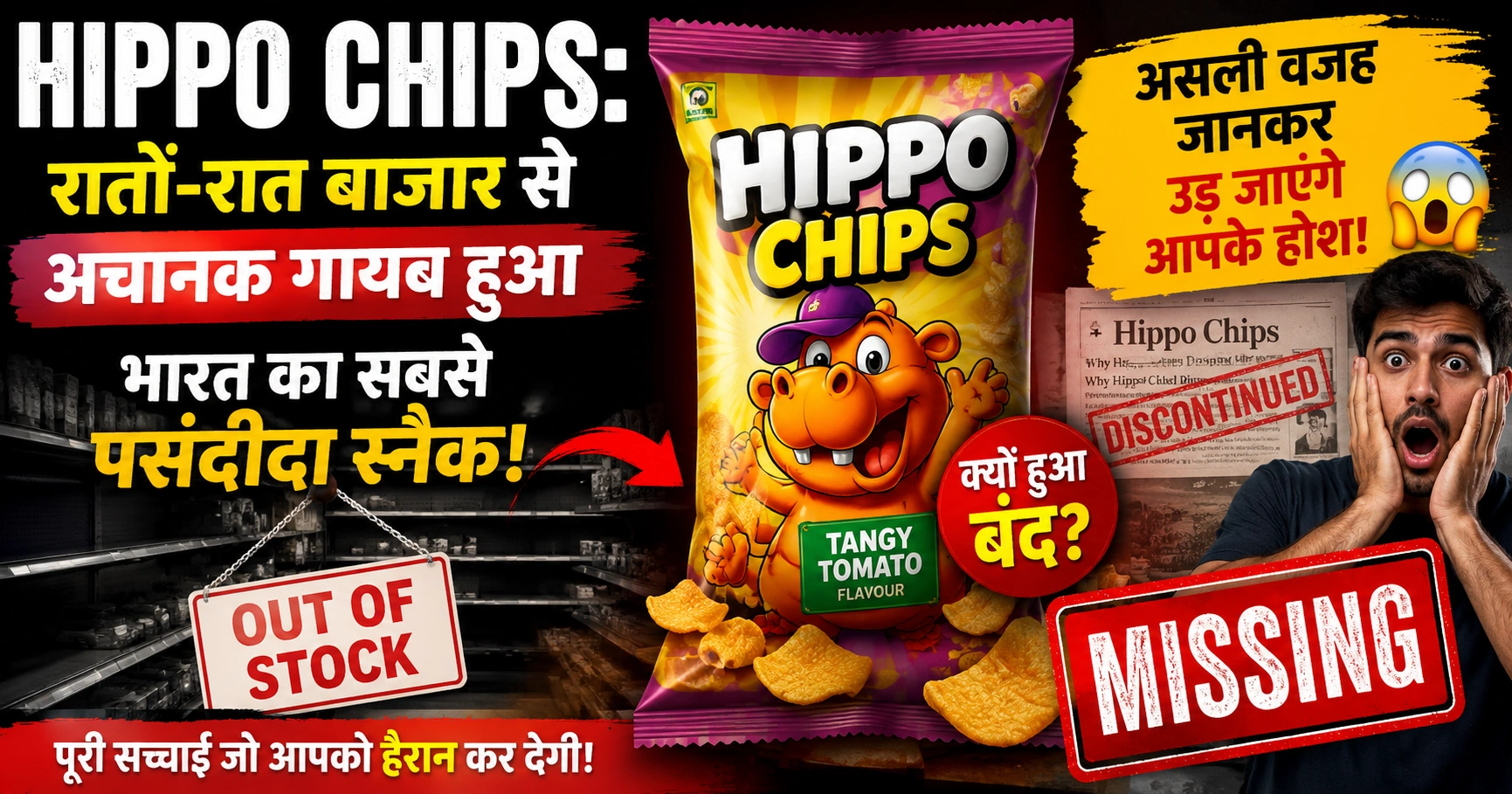 hippo chips